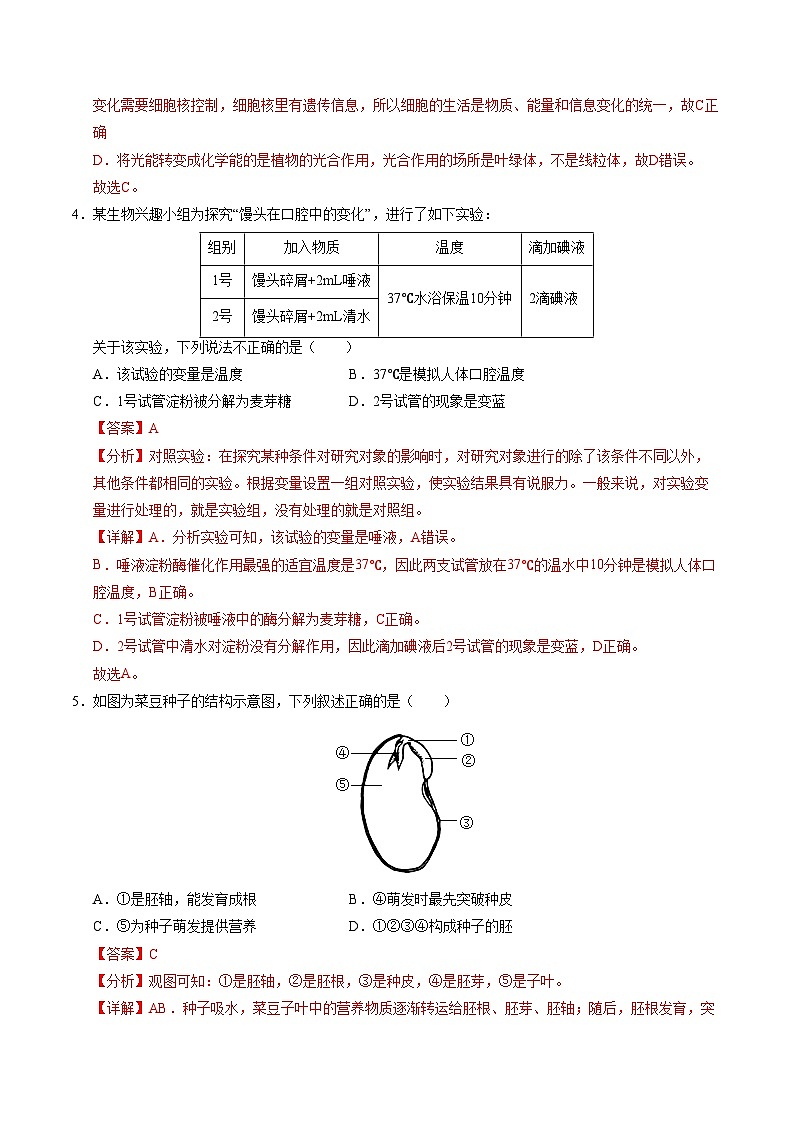 七年级生物月考卷【测试范围：人教版2024第三单元、第四单元第一、二章】（全解全析）（湖北专用）第3页
