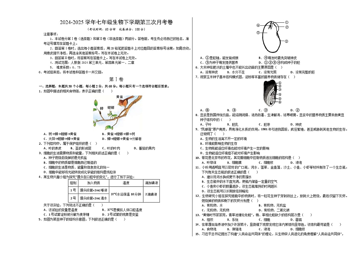 七年级生物月考卷【测试范围：人教版2024第三单元、第四单元第一、二章】（考试版A3）（湖北专用）第1页