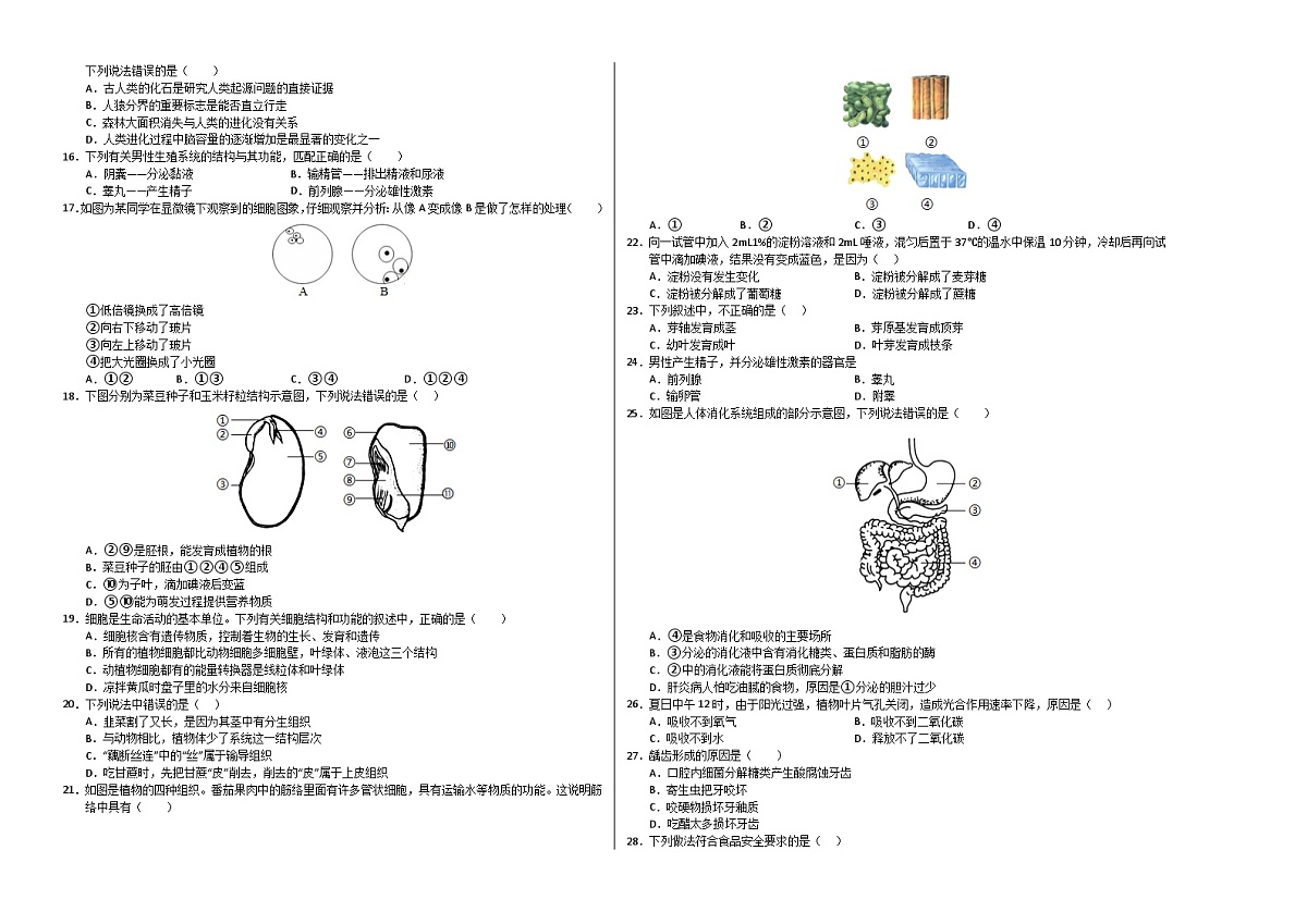 七年级生物月考卷【测试范围：人教版2024第三单元、第四单元第一、二章】（考试版A3）（湖北专用）第2页