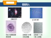 滬科版八年級(jí)物理第十二章小粒子與大宇宙第一節(jié)走進(jìn)微觀課件