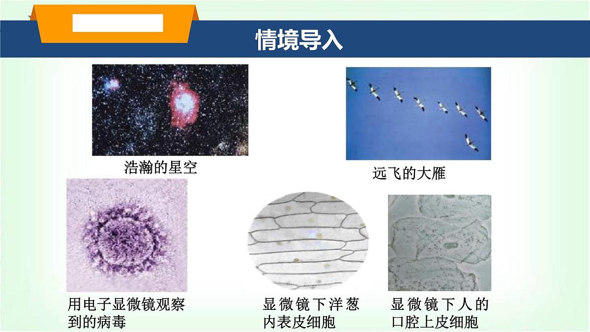 沪科版八年级物理第十二章小粒子与大宇宙第一节走进微观课件第2页