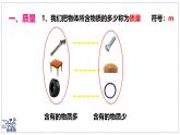 北師大版物理八年級(jí)下冊(cè) 6.1 物體的質(zhì)量及其測(cè)量 課件 (1)