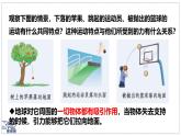 北師大版物理八年級(jí)下冊(cè) 7.3 重力  課件