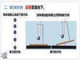 北師大版物理八年級下冊 7.3 重力 課件 初中