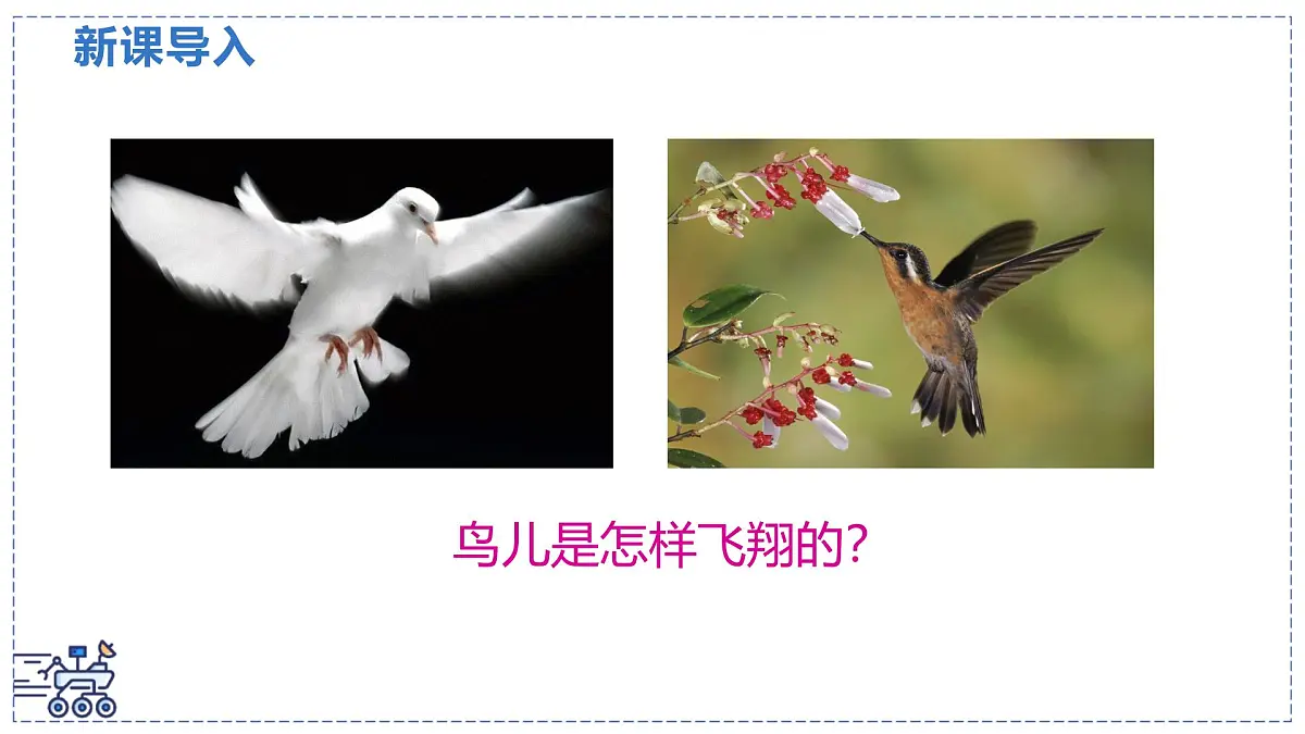 北师大版物理八年级下册 8.5 流体压强与流速的关系 课件第3页
