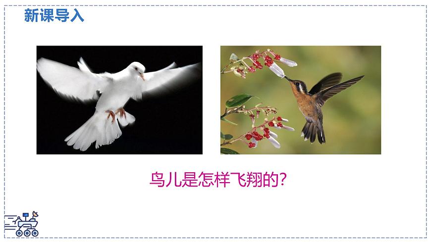 北师大版物理八年级下册 8.5 流体压强与流速的关系  课件第3页