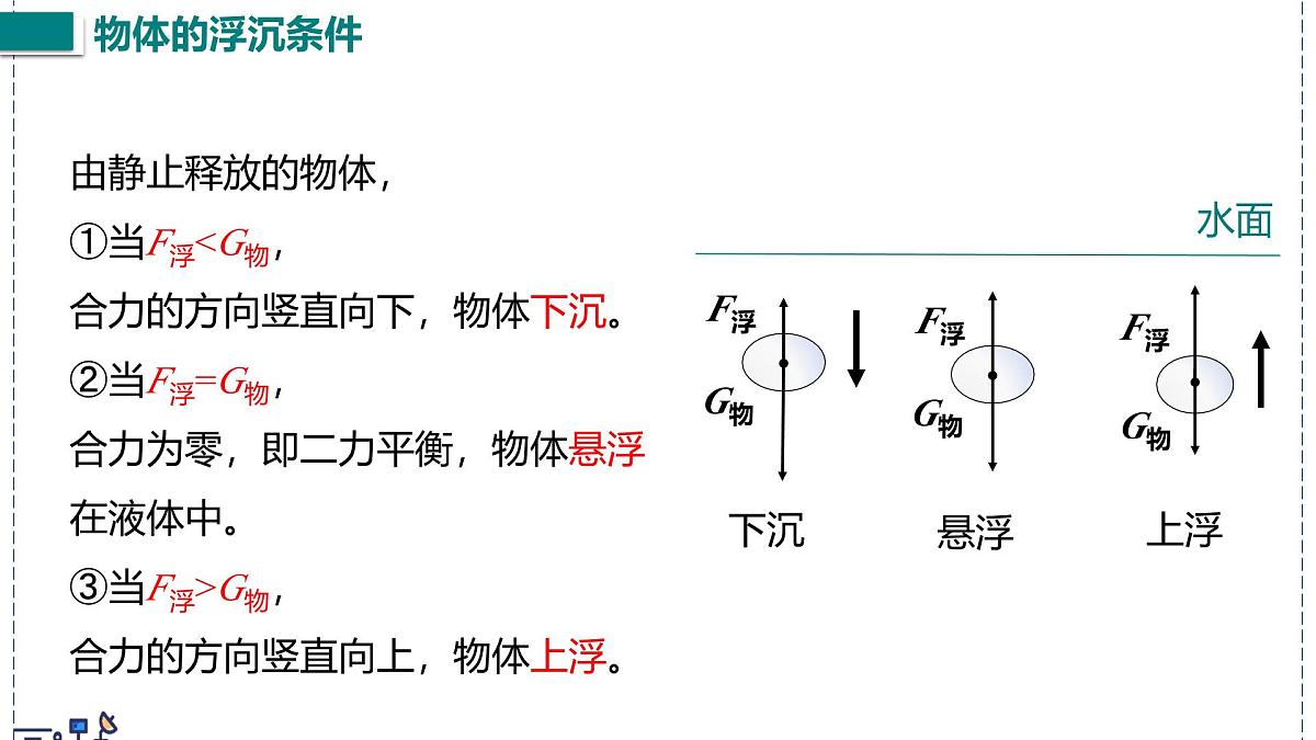 北师大版物理八年级下册 8.7 物体的浮沉条件及其应用  课件第5页
