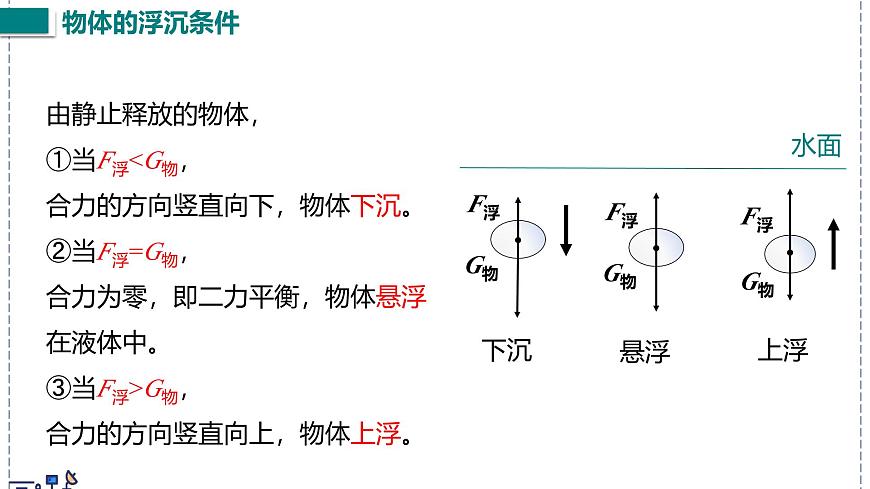 北师大版物理八年级下册 8.7 物体的浮沉条件及其应用  课件第5页