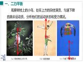 2024-2025學年滬粵版物理八年級下冊 7.5 運動和力  課件