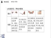 2024-2025學(xué)年滬粵版物理八年級(jí)下冊(cè) 6.2 彈力 力的測量和表示（課件）