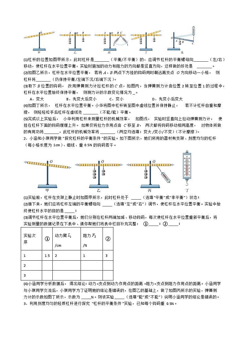 专题4.2.5  探究杠杆的平衡条件-【实验攻略】2025年中考物理新课标必做21实验及近年热考实验学案第2页