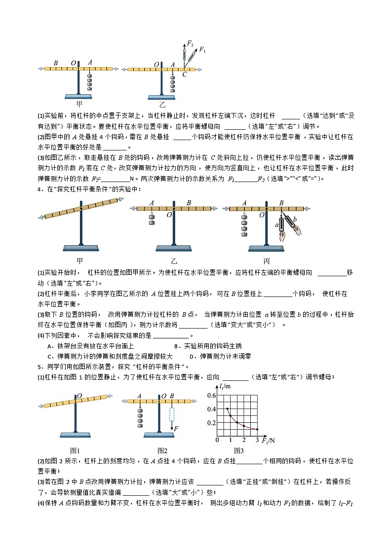 专题4.2.5  探究杠杆的平衡条件-【实验攻略】2025年中考物理新课标必做21实验及近年热考实验学案第3页