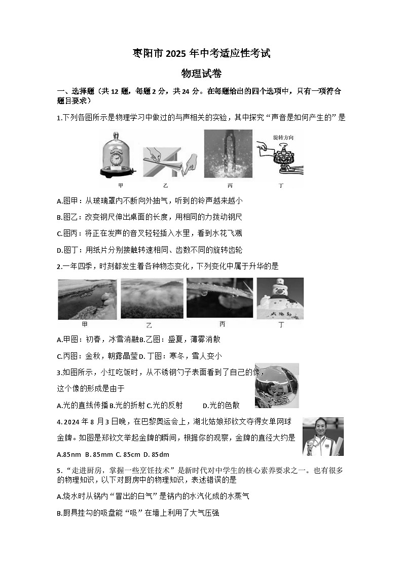 2025年湖北省襄阳市枣阳市中考适应性考试物理试题（中考模拟）第1页
