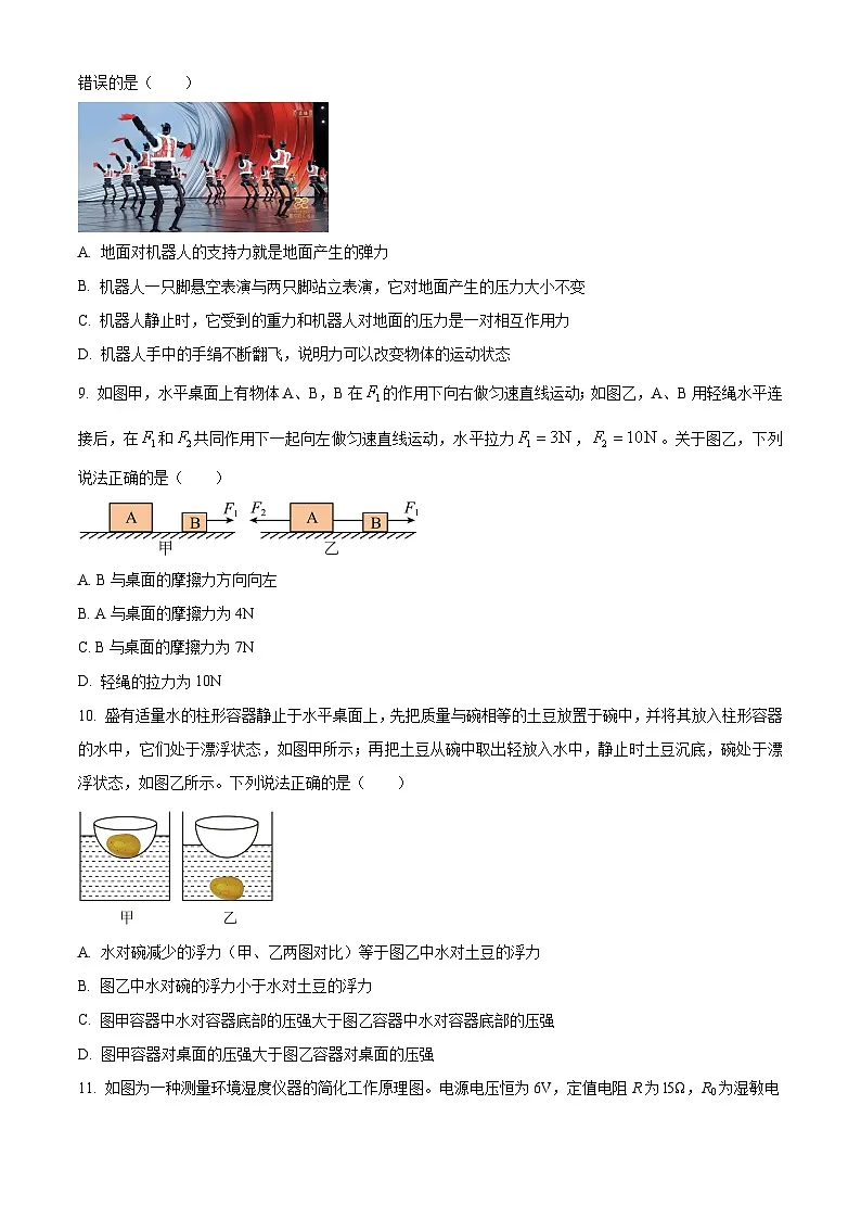 2025年四川省泸州市泸县中考二模物理试题（原卷版+解析版）（中考模拟）第3页