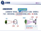 （教科版2024）初中物理八年級(jí)上冊(cè) 4.6跨學(xué)科實(shí)踐：眼睛 課件
