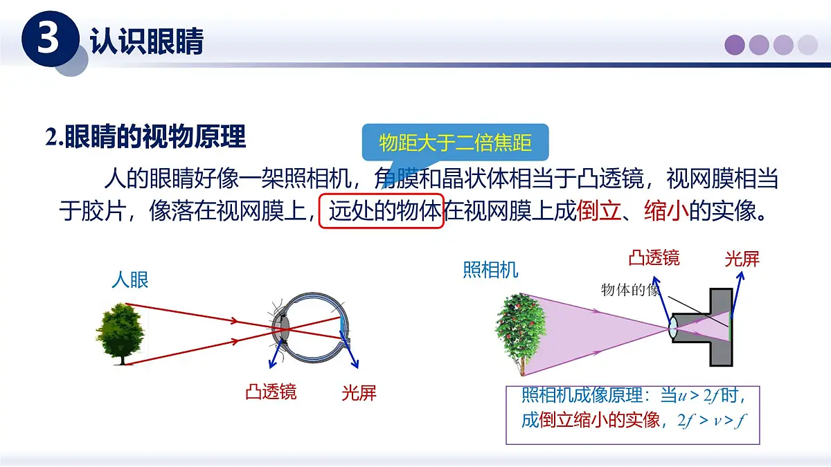 （教科版2024）初中物理八年级上册 4.6跨学科实践：眼睛 课件第5页