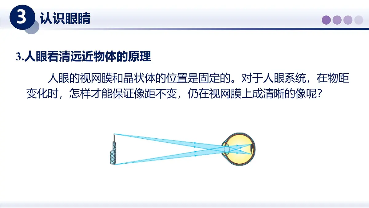 （教科版2024）初中物理八年级上册 4.6跨学科实践：眼睛 课件第8页