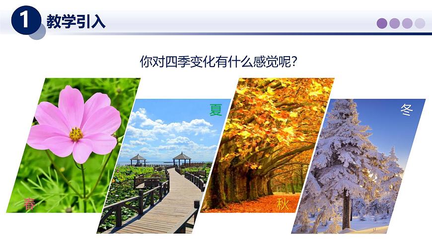 （教科版2024）初中物理八年级上册 5.1物态变化与温度 课件第2页