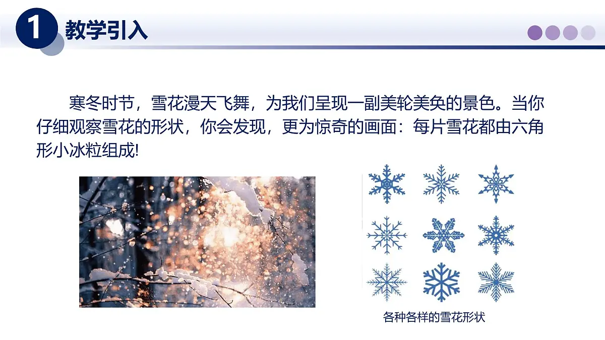 （教科版2024）初中物理八年级上册 5.2熔化与凝固 课件第2页