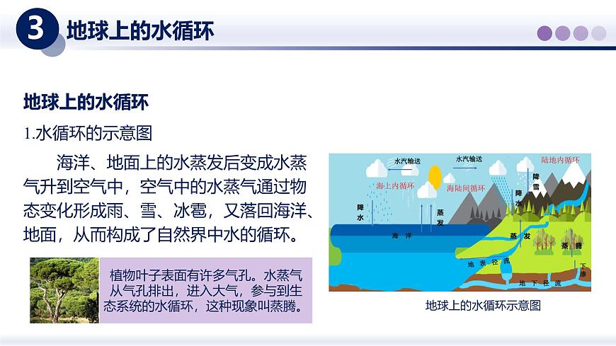 （教科版2024）初中物理八年级上册 5.5跨学科实践：地球上的水循 课件第6页