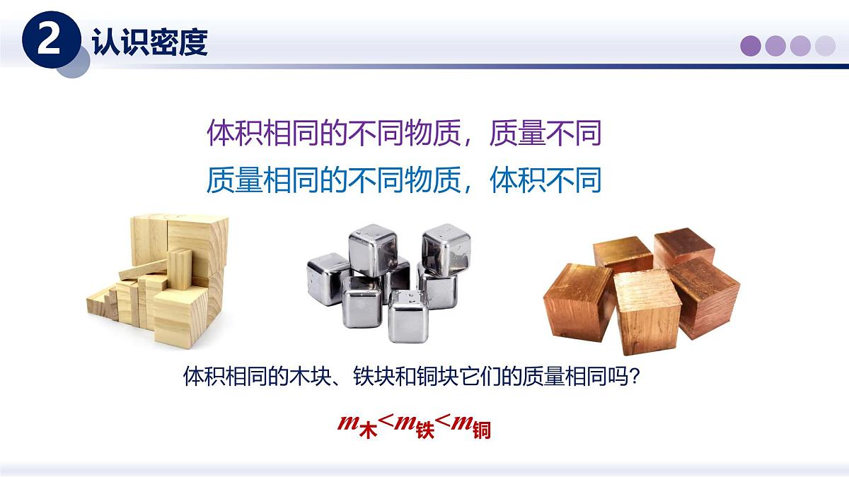 （教科版2024）初中物理八年级上册 6.2物质的密度 课件第5页