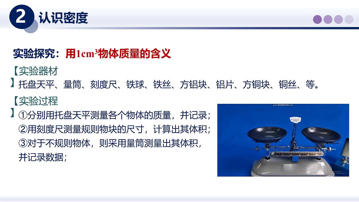 （教科版2024）初中物理八年级上册 6.2物质的密度 课件第6页