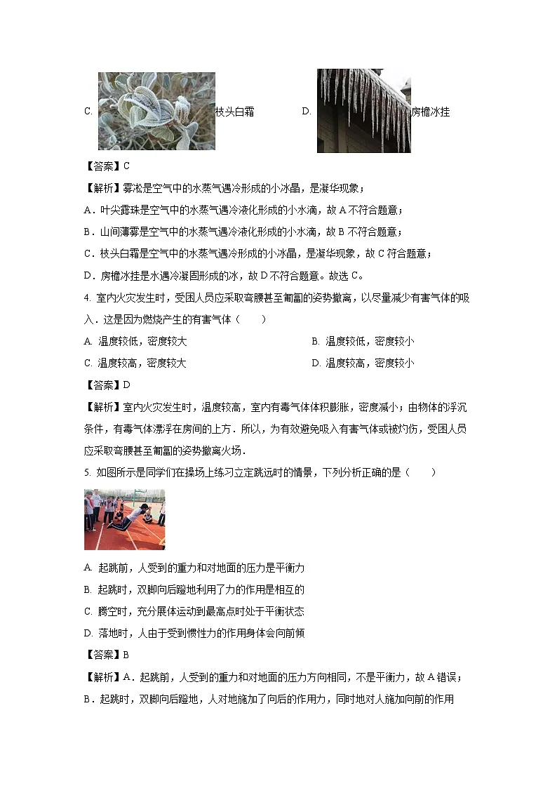 2025年山东省枣庄市薛城区中考二模物理试题（解析版）第2页