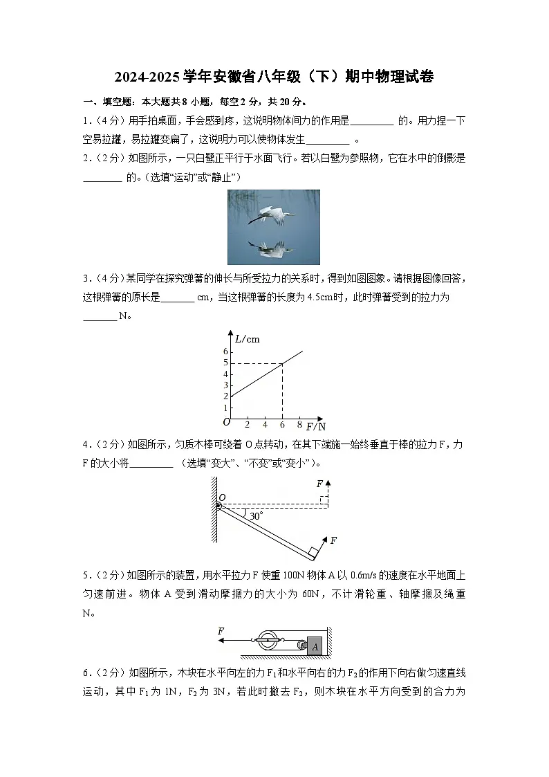 安徽省铜陵市2024-2025学年八年级下学期期中考试物理试题第1页