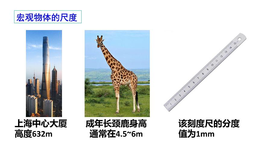 第十二章第一节走进微观++----2024-2025学年沪科版物理八年级下学期课件第5页