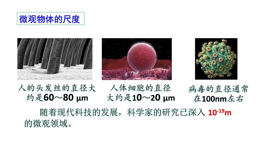 第十二章第一节走进微观++----2024-2025学年沪科版物理八年级下学期课件第6页