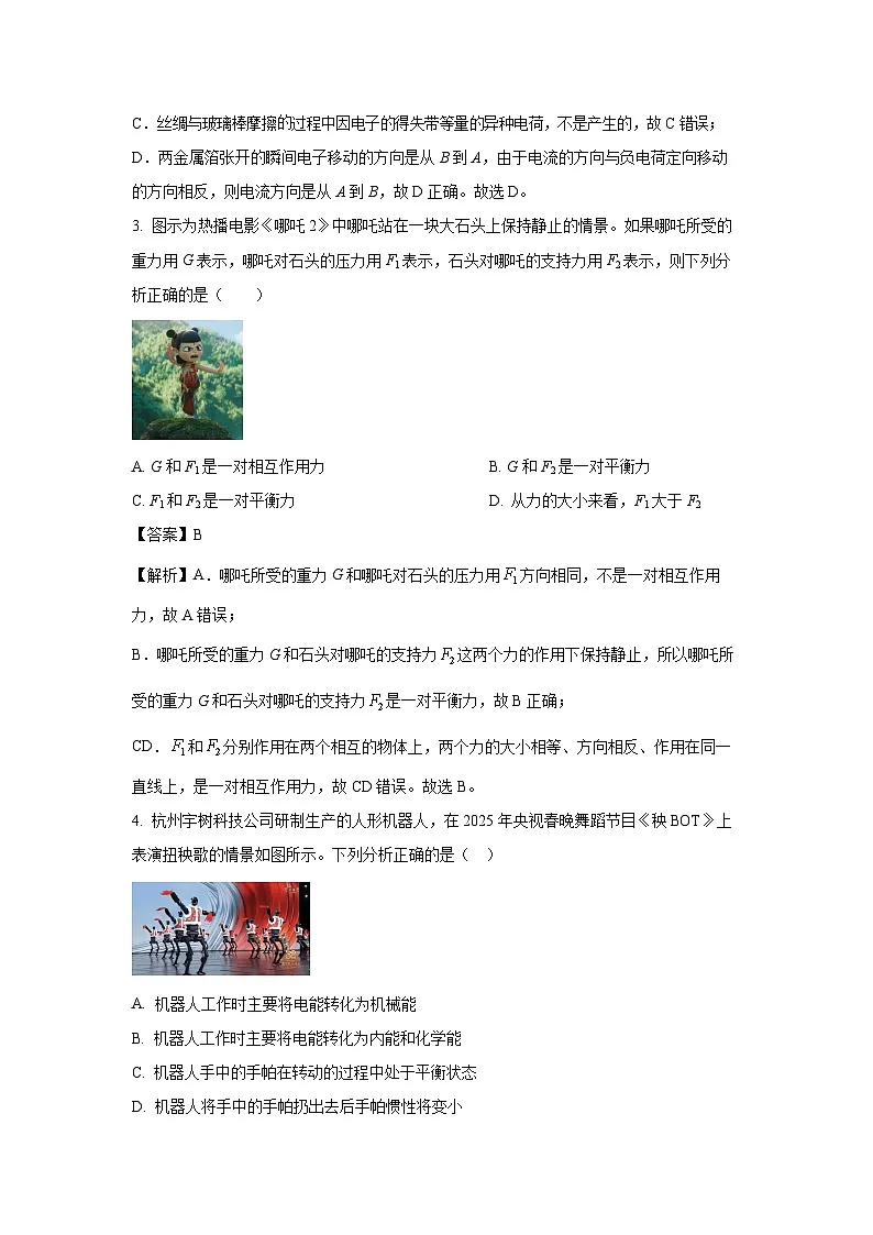 2025年安徽省阜阳市颍上县中考一模物理试题（解析版）第2页