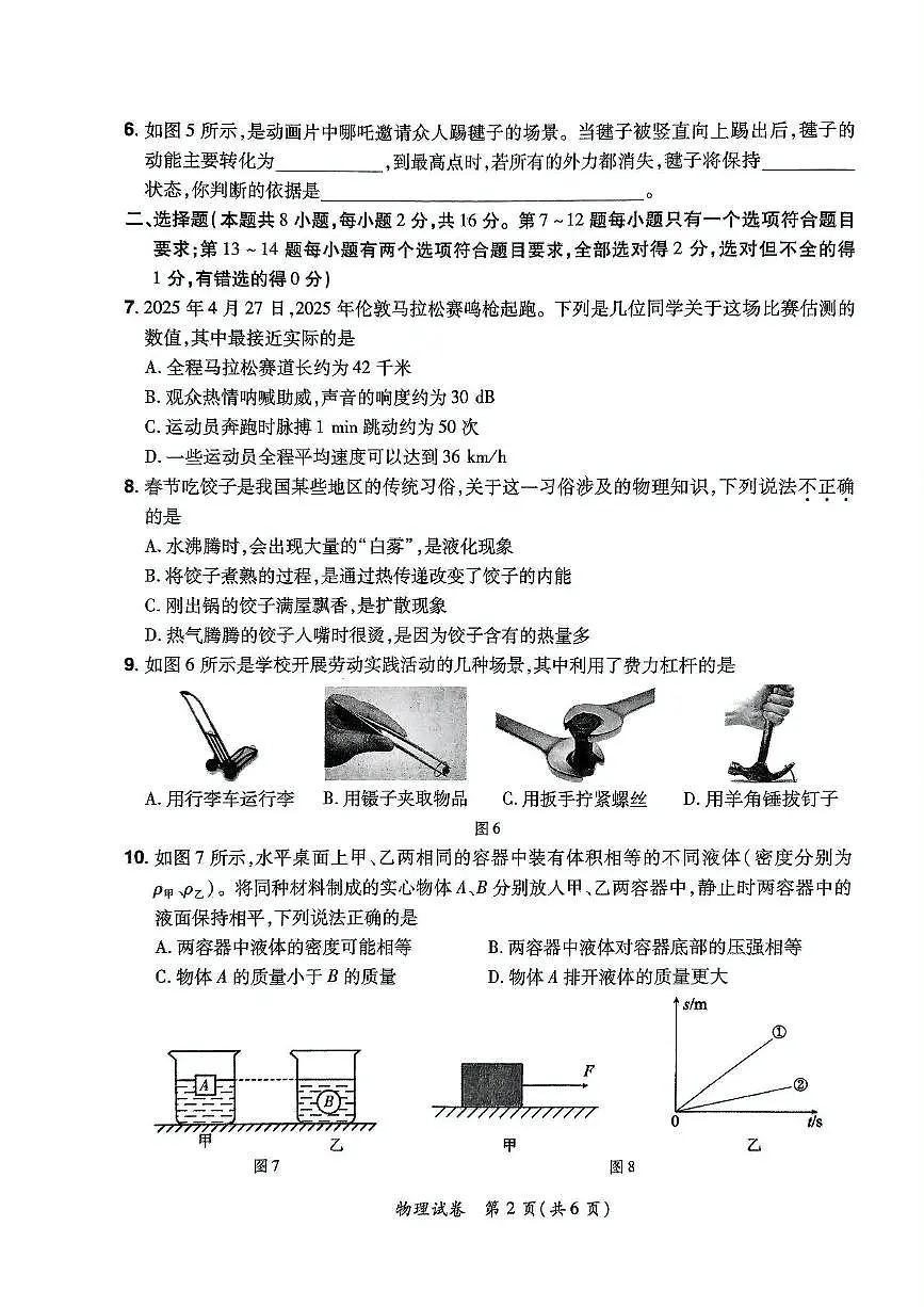 2025年河南省新乡市长垣市中考二模物理试题（中考模拟）第2页