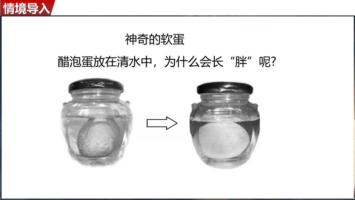 人教版（2024）物理九年级上册  13.2 分子动理论的初步知识（课件）第3页