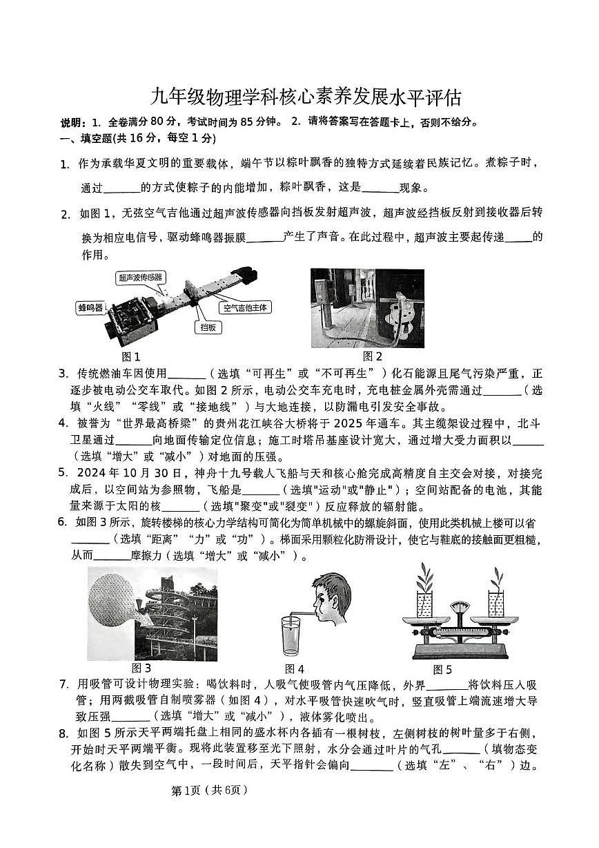物理 物理学科核心素养发展水平评估第1页