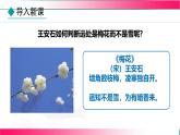 1.1+分子動理論--2025-2026學(xué)年2024教科版物理九年級全冊教學(xué)同步課件