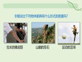 14.1 能量的轉(zhuǎn)化與守恒—初中物理九年級(jí)全一冊(cè) 同步教學(xué)課件（人教版2024）