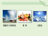 14.1 能量的轉(zhuǎn)化與守恒—初中物理九年級(jí)全一冊(cè) 同步教學(xué)課件（人教版2024）