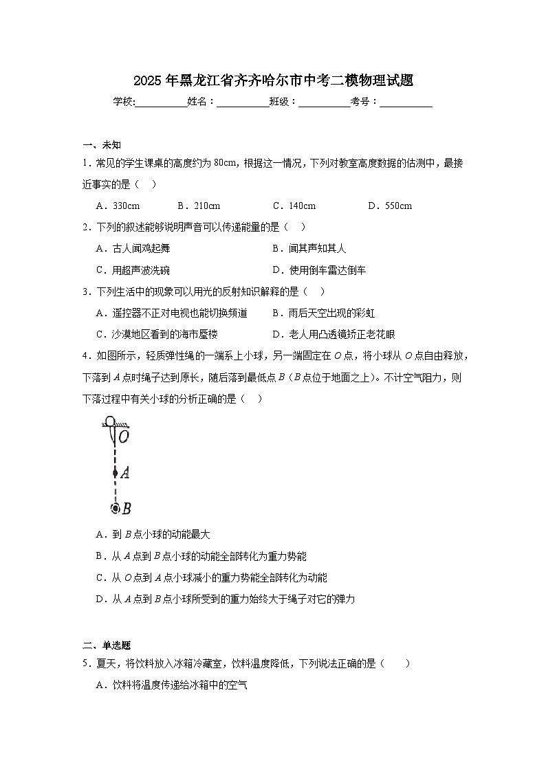 2025年黑龙江省齐齐哈尔市中考二模物理试题（无答案）第1页