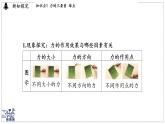 2024-2025學(xué)年 教科版物理八年級下冊 7.2 力的描述（課件）
