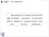 2024-2025學(xué)年 教科版物理八年級(jí)下冊(cè) 9.1 壓強(qiáng)（課件）
