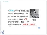 2024-2025學年 教科版物理八年級下冊 9.4 大氣壓強（課件）(1)