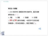 2024-2025學(xué)年 教科版物理八年級下冊 12.2 機(jī)械能及其轉(zhuǎn)化 課件