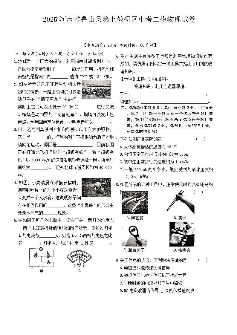 2025年河南省平顶山市鲁山县第七教研区中考二模物理试题（中考模拟）第1页
