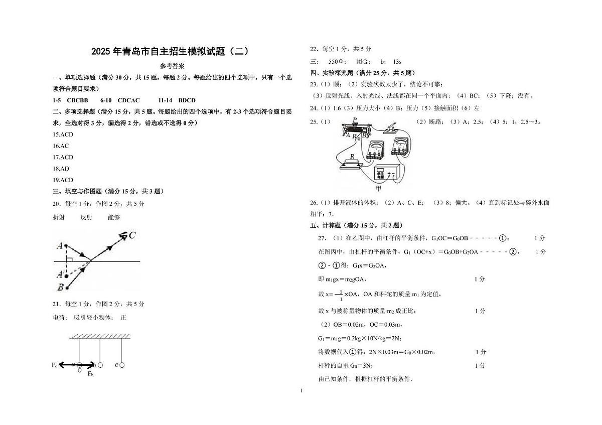 2025山东省青岛市青岛大学附属中学物理自主招生模拟试题二（解析）第1页