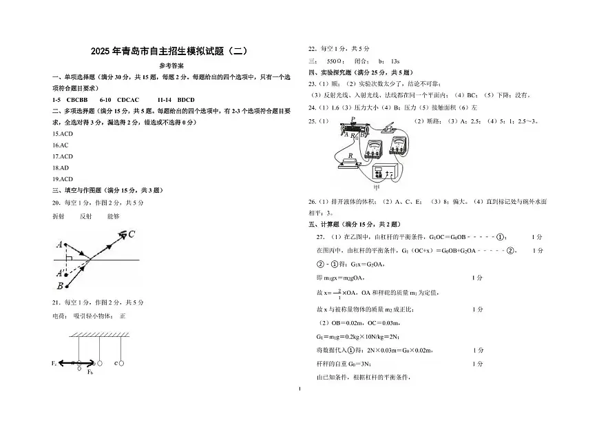 2025山东省青岛市青岛大学附属中学物理自主招生模拟试题二（解析）第1页