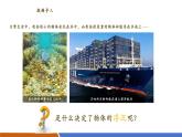 【新教材核心素養(yǎng)】滬粵版物理八下9.3《物體的浮沉》教學(xué)課件+同步教案
