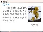 人教版（2024）物理九年級(jí)上冊(cè) 13.2分子動(dòng)理論的初步知識(shí)（課件）