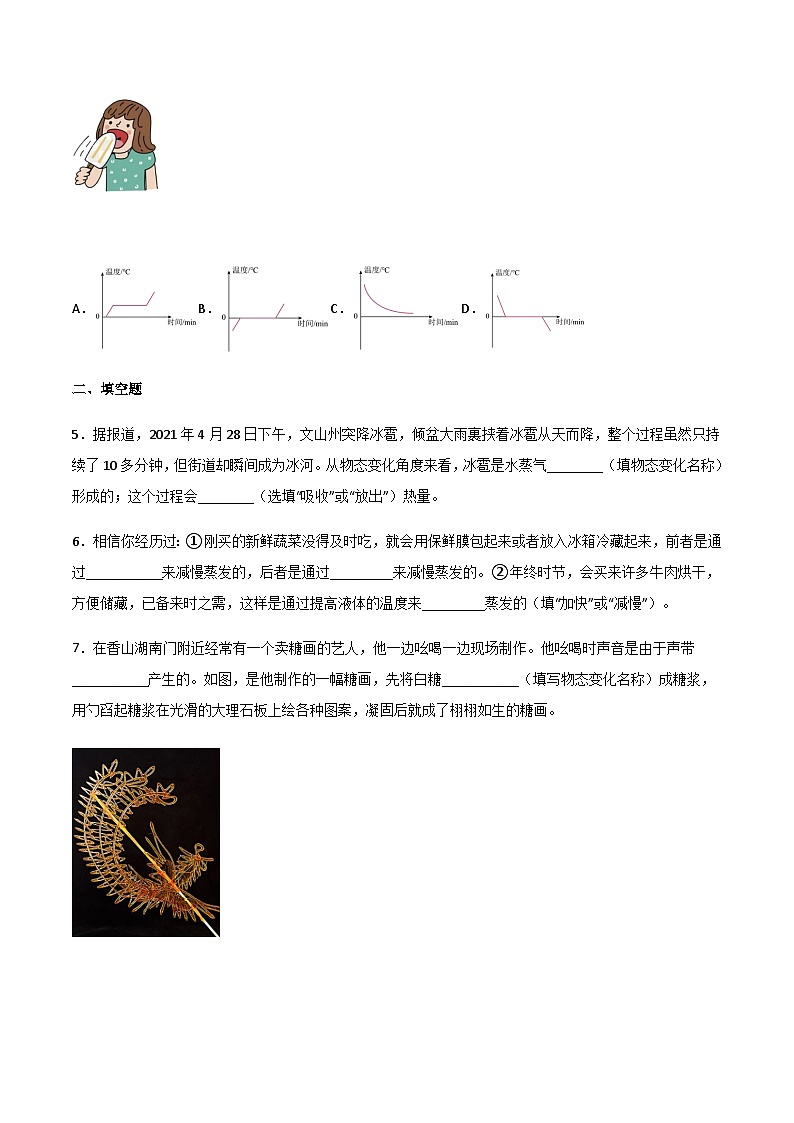 2025年中考物理专题复习讲义专题03 物态变化（习题精选练习）（原卷版）第2页