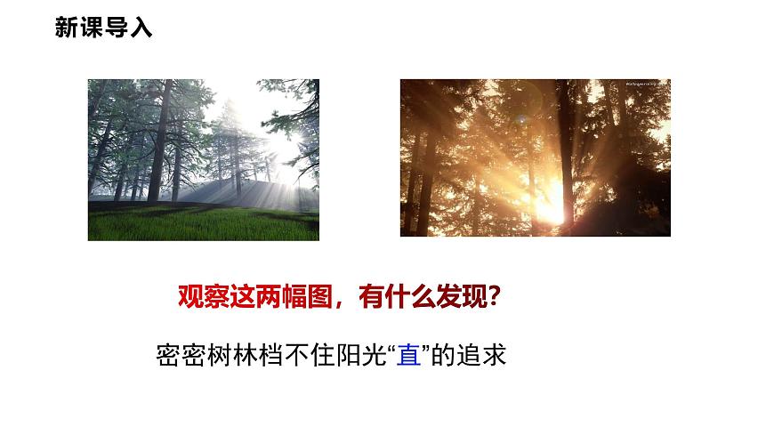 4.1  光的传播  课件  2025-2026学年物理教科版（2024）八年级上册第3页