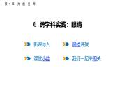 4.6  跨學科實踐：眼睛  課件  2025-2026學年物理教科版（2024）八年級上冊